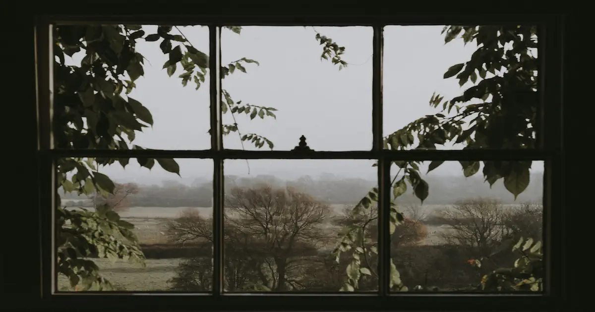 7 Causes That Explain How a Single Window Can Encompass a Lifetime of Memories